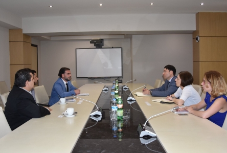 გენერალური აუდიტორი USAID -ის წარმომადგენლებს შეხვდა