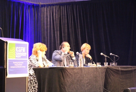 „Completely new and higher level of transparency "- assessment of budgetmonitor.ge at ICGFM International Conference