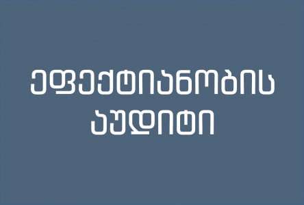 სახელმწიფო ვალის მართვის ინფორმაციული სისტემების ეფექტიანობის აუდიტი