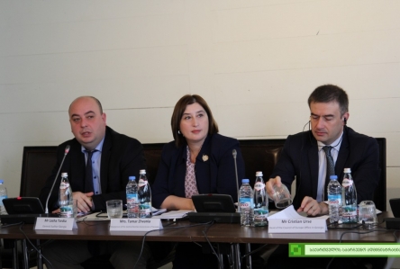 New elections project of Council of Europe in Georgia